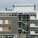 Bild Rotation Witten